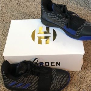 James Hardin  volume 3 basketball shoes, Clean!